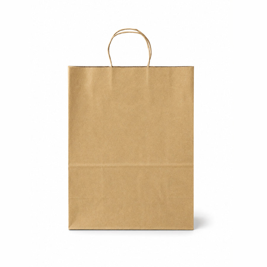 25 x 14 x 30 cm Brown Kraft Medium Paper Carrier Bag with Twisted Handle (1 x 250)