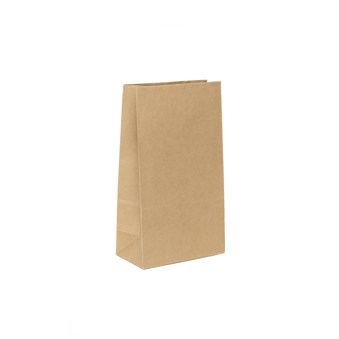 Packaging Wise 170x120x330 mm brown paper bag — sturdy, eco-friendly design perfect for takeaway or retail use.