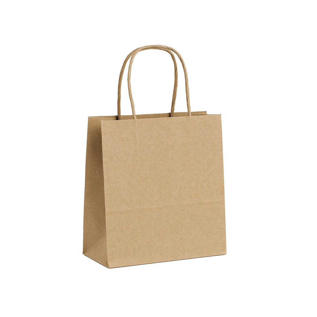 Packaging Wise 220×100×250 mm brown paper bag — sturdy twisted handles and ideal medium size for retail packaging or takeaway service.
