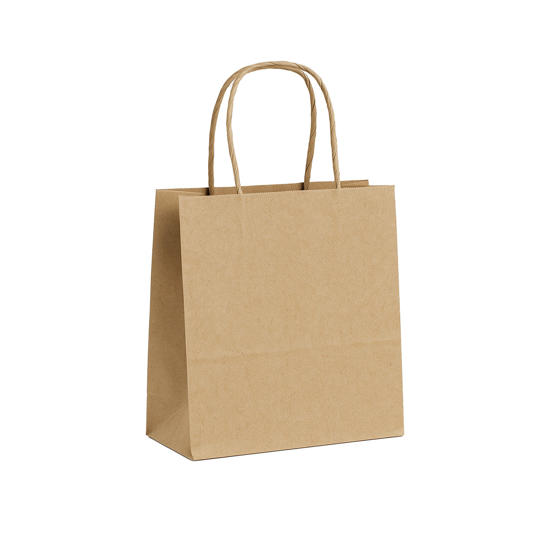 Packaging Wise 250×140×300 mm brown paper bag — durable twisted handle design perfect for takeaway meals or eco-friendly shopping.