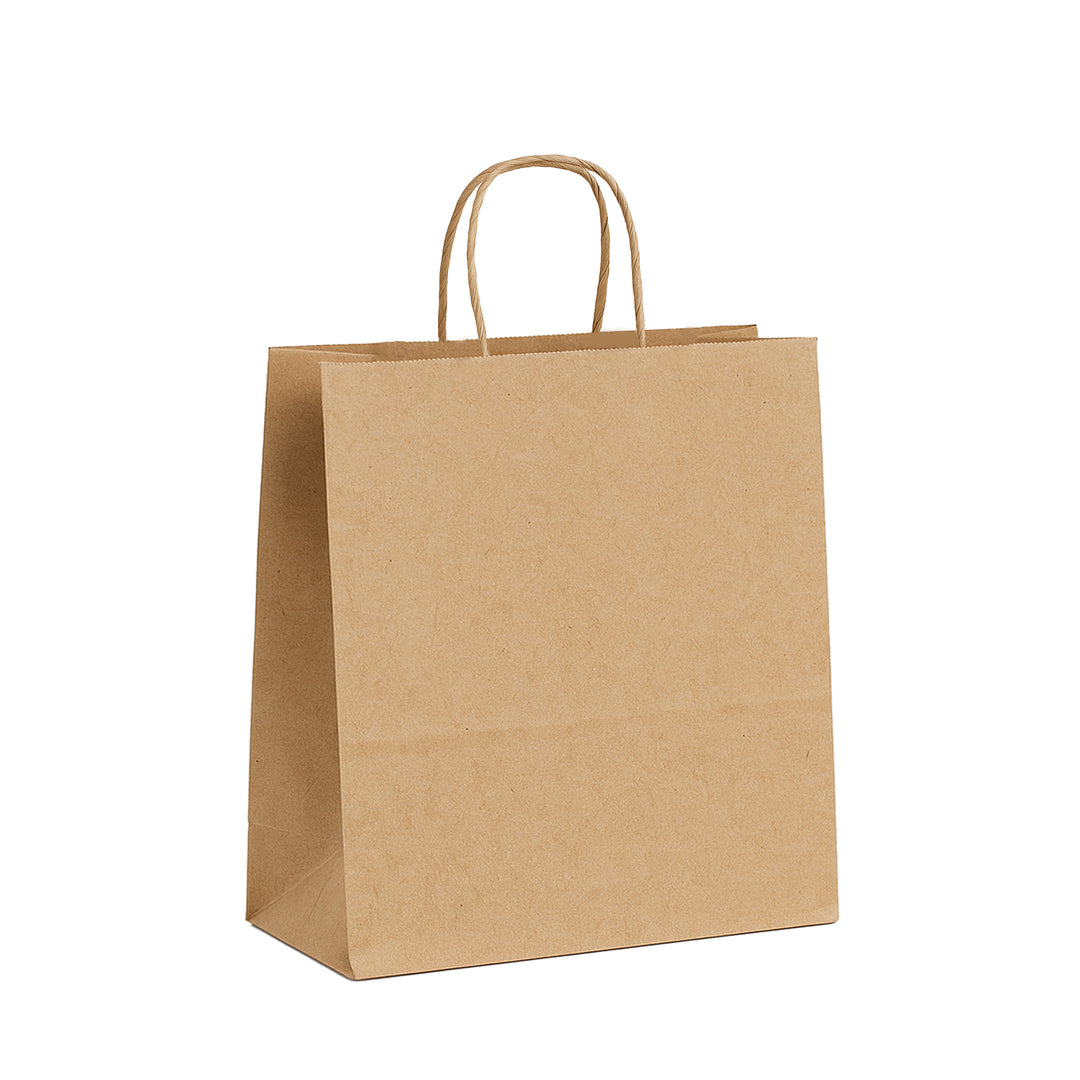 Packaging Wise 280×160×350 mm brown paper bag — strong twisted handles for stylish and sustainable retail packaging.