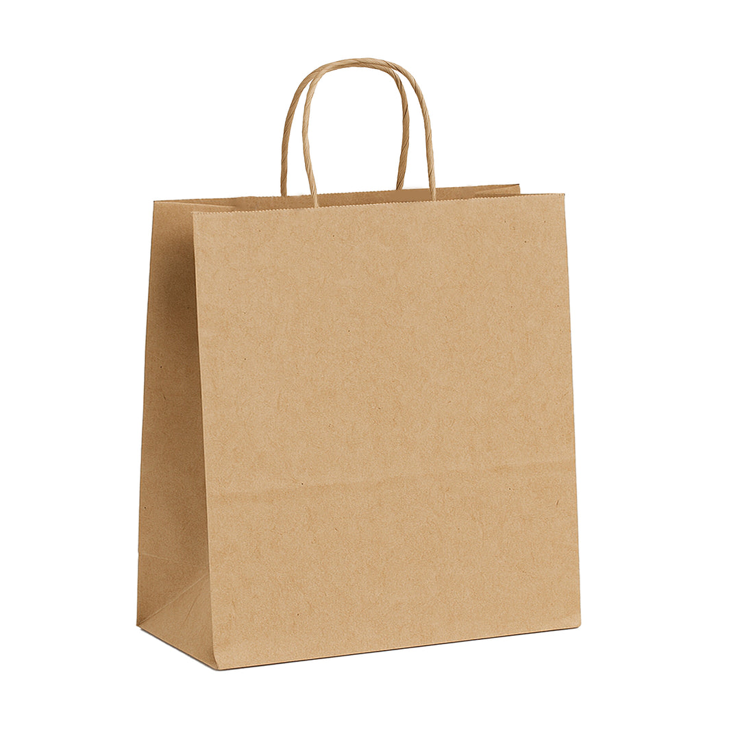 Packaging Wise 300×180×400 mm brown paper bag — eco-friendly design with durable twisted handles for retail and takeaway.