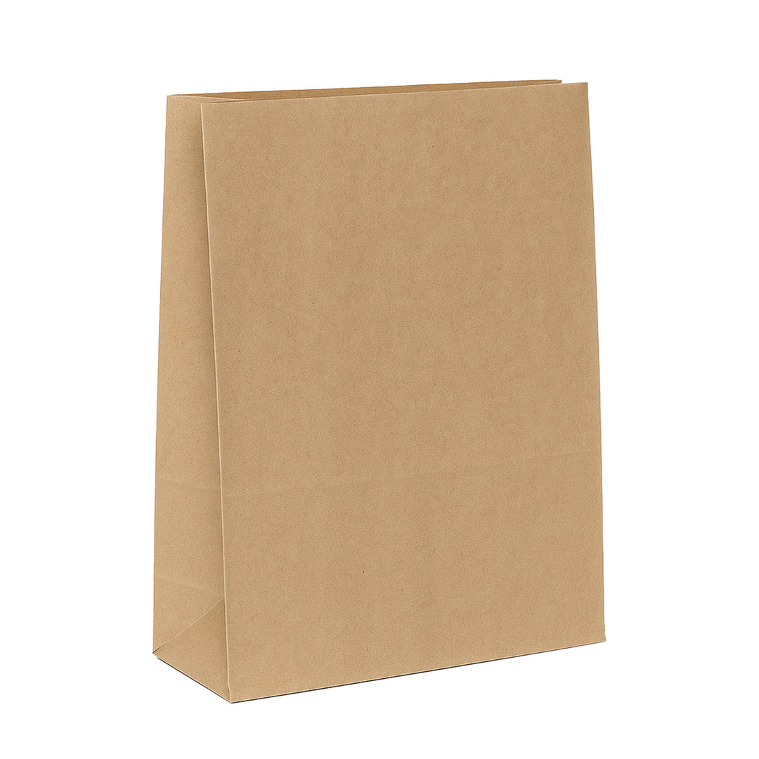 Packaging Wise 320x170x440 mm brown paper bag — extra-large size, perfect for takeout, grocery, and retail packaging needs.