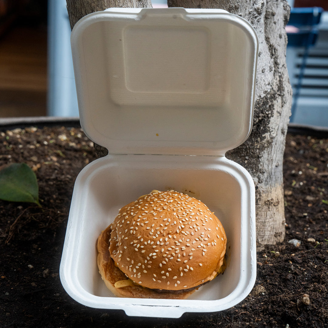 8"x8" Bagesse Food Box