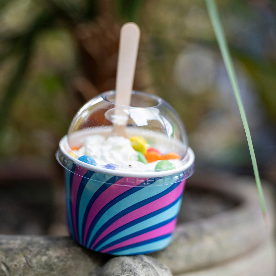 Packaging Wise 8oz patterned ice cream tub with dome lid — bold, eye-catching design to elevate ice cream & sorbet display, perfect for enhancing perceived value at dessert counters.