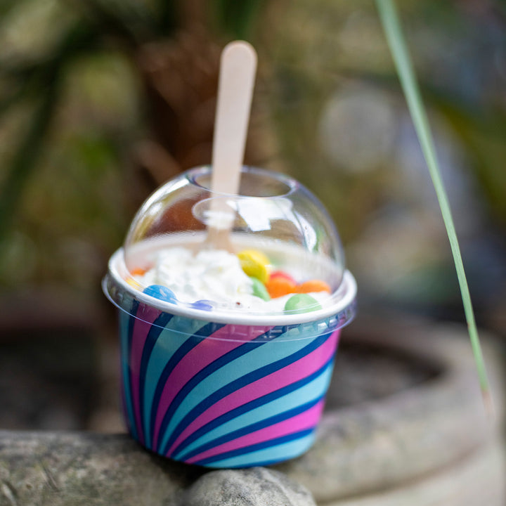 Packaging Wise 8oz patterned ice cream tub with dome lid — bold, eye-catching design to elevate ice cream & sorbet display, perfect for enhancing perceived value at dessert counters.