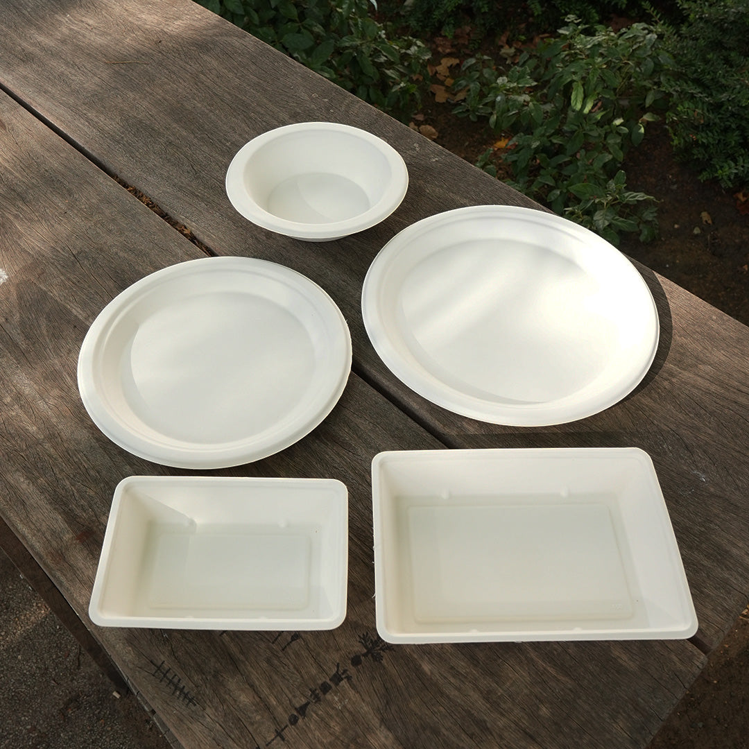 10" White Bagasse Round Plate (1 x 500)