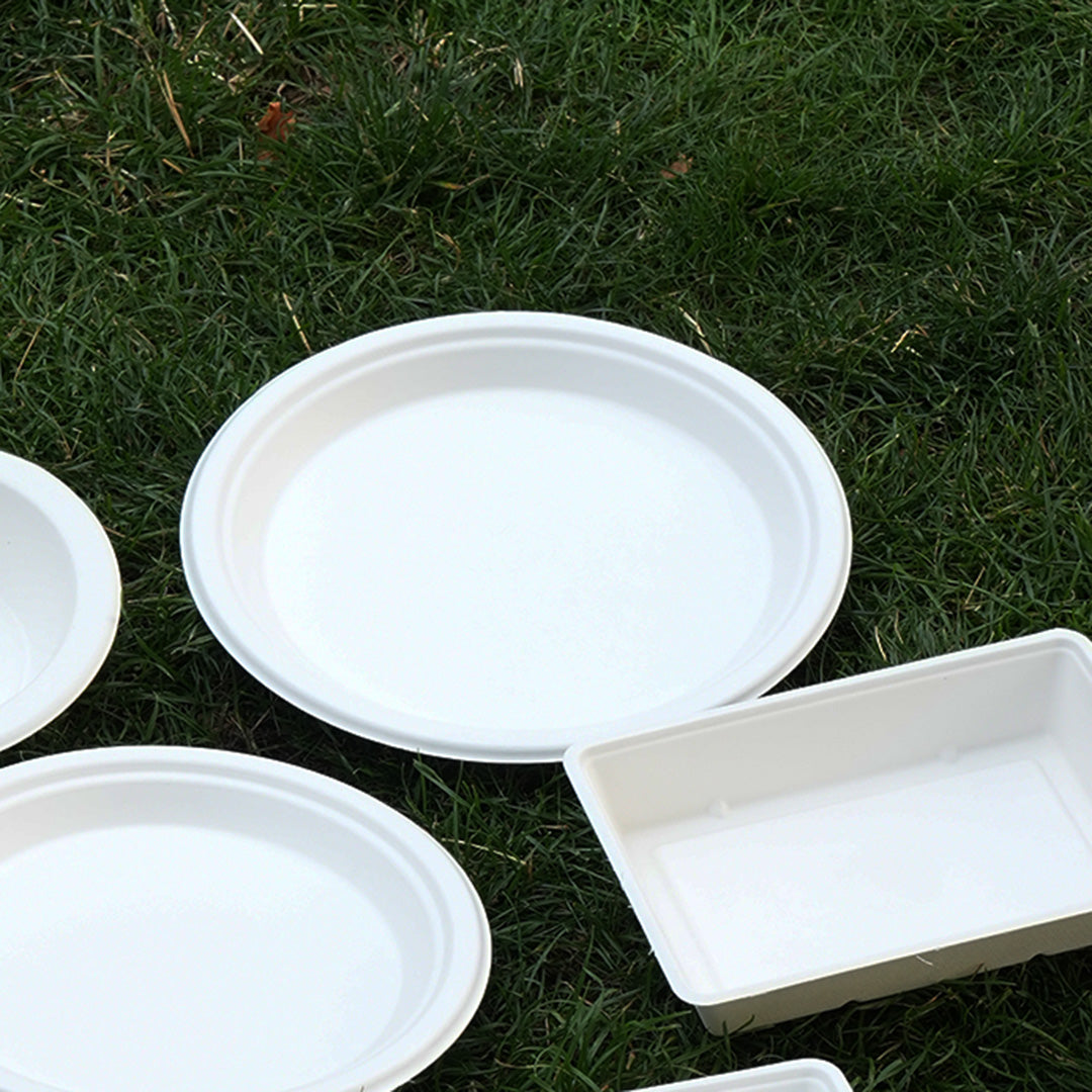 10" White Bagasse Round Plate (1 x 500)