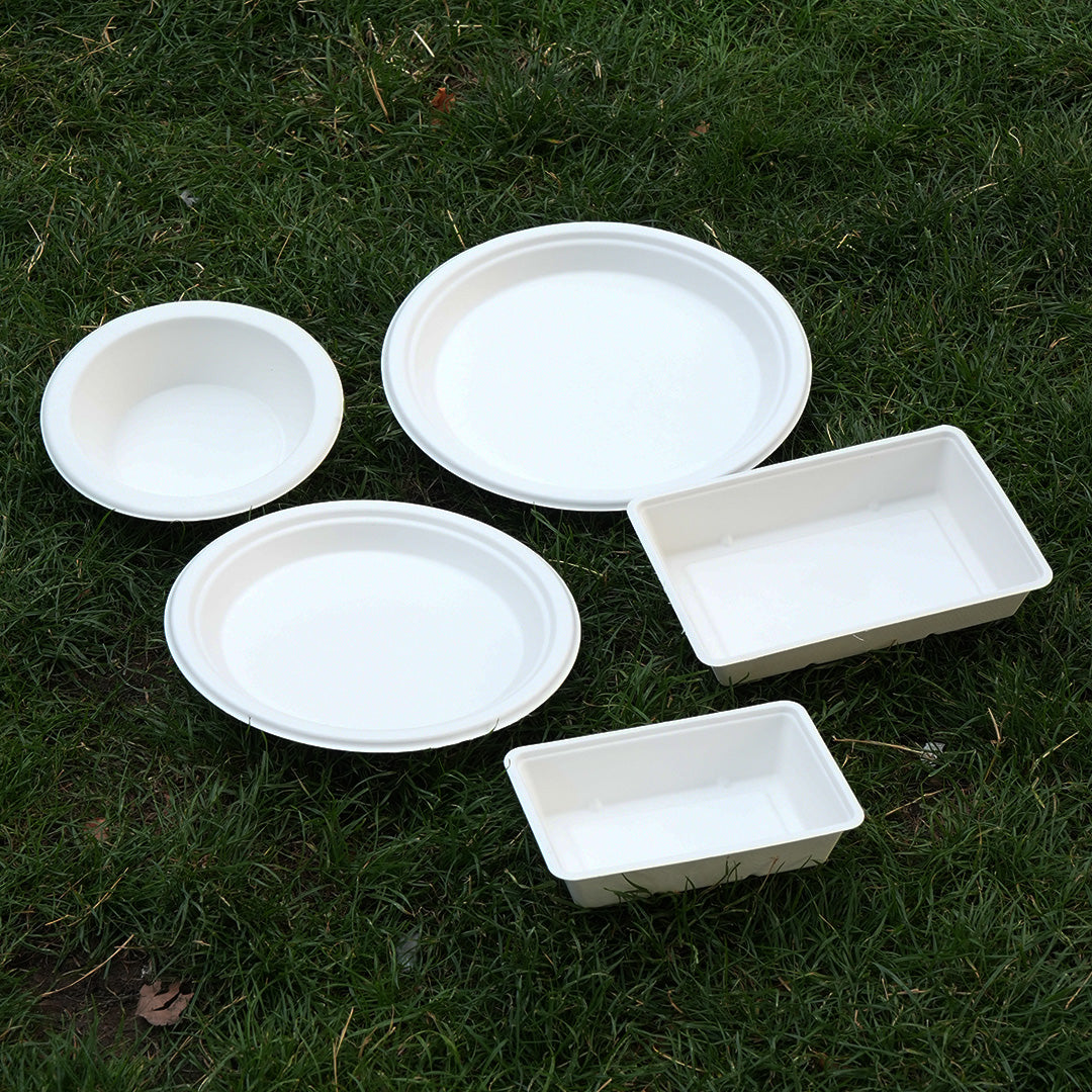 9" White Bagasse Round Plate (1 x 500)